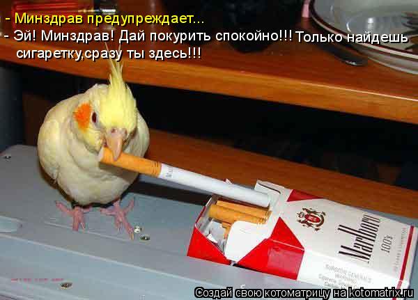 - Минздрав предупреждает... - Эй! Минздрав! Дай покурить спокойно!!! Только найдешь сигаретку,сразу т... Котоматрица: - Минздрав предупреждает... - Эй! Минздрав! Дай покурить спокойно!!! Только найдешь сигаретку,сразу ты здесь!!!