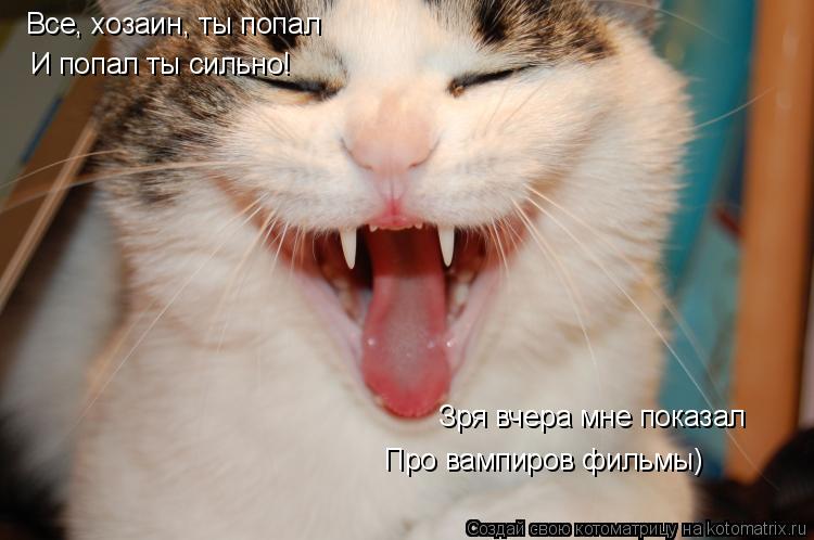 Все, хозаин, ты попал И попал ты сильно! Зря вчера мне показал Про вампиров фильмы)... Котоматрица: Все, хозаин, ты попал И попал ты сильно! Зря вчера мне показал Про вампиров фильмы)