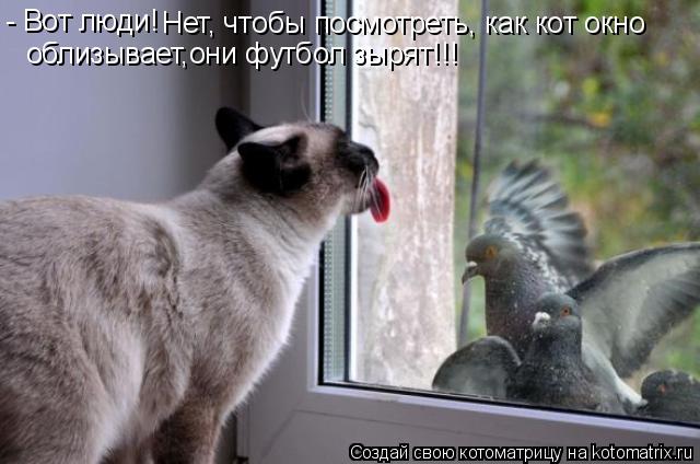 - Вот люди! Нет, чтобы посмотреть, как кот окно облизывает,они футбол зырят!!!... Котоматрица: - Вот люди! Нет, чтобы посмотреть, как кот окно облизывает,они футбол зырят!!!