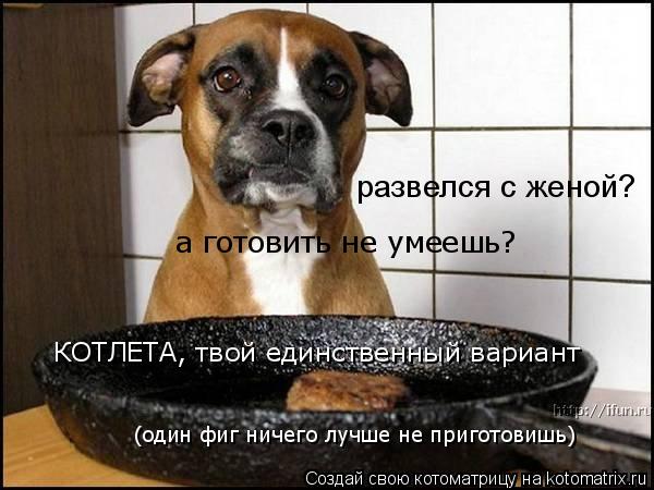 развелся с женой? а готовить не умеешь? КОТЛЕТА, твой единственный вариант (один фиг ничего лучше не ... Котоматрица: развелся с женой? а готовить не умеешь? КОТЛЕТА, твой единственный вариант (один фиг ничего лучше не приготовишь)