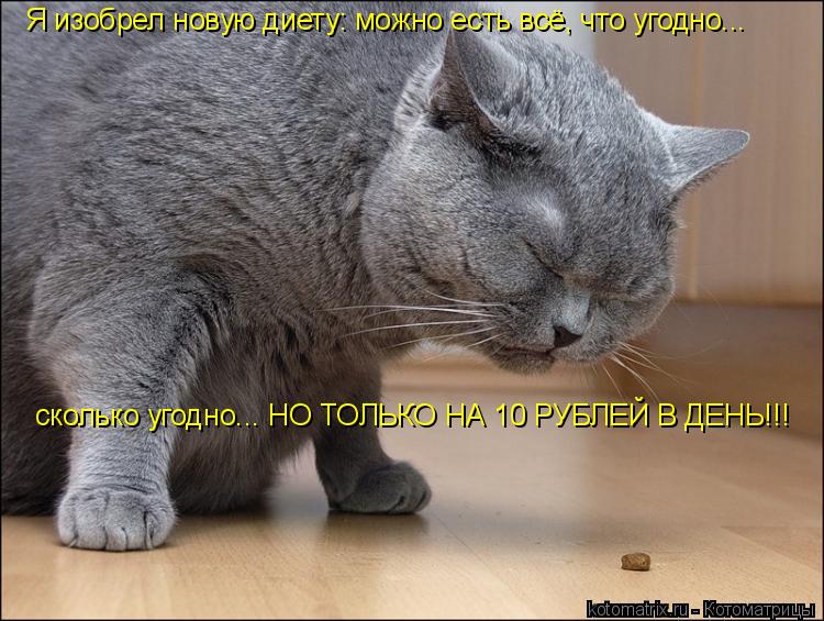 Я изобрел новую диету: можно есть всё, что угодно... сколько угодно... НО ТОЛЬКО НА 10 РУБЛЕЙ В ДЕНЬ!... Котоматрица: Я изобрел новую диету: можно есть всё, что угодно... сколько угодно... НО ТОЛЬКО НА 10 РУБЛЕЙ В ДЕНЬ!!!