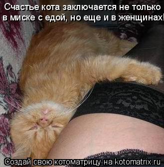 Счастье кота заключается не только в миске с едой, но еще и в женщинах!... Котоматрица: Счастье кота заключается не только в миске с едой, но еще и в женщинах!