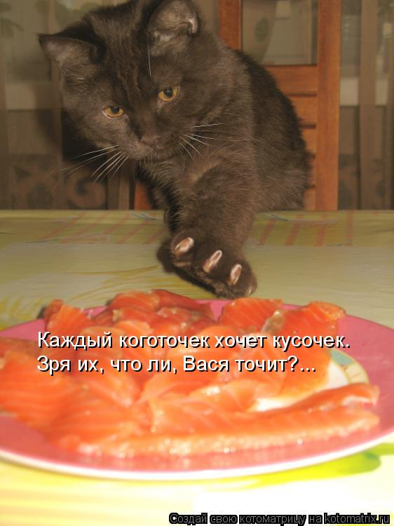 Котоматрица: Каждый коготочек хочет кусочек. Зря их, что ли, Вася точит?...