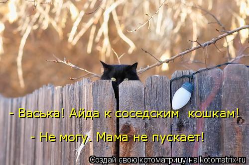 - Васька! Айда к соседским кошкам! - Не могу. Мама не пускает!... Котоматрица: - Васька! Айда к соседским кошкам! - Не могу. Мама не пускает!