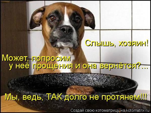 Слышь, хозяин! Может, попросим у неё прощения и она вернётся?... Мы, ведь, ТАК долго не протянем!!!... Котоматрица: Слышь, хозяин! Может, попросим у неё прощения и она вернётся?... Мы, ведь, ТАК долго не протянем!!!