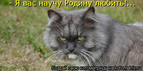 - Я вас научу Родину любить!...... Котоматрица: - Я вас научу Родину любить!...
