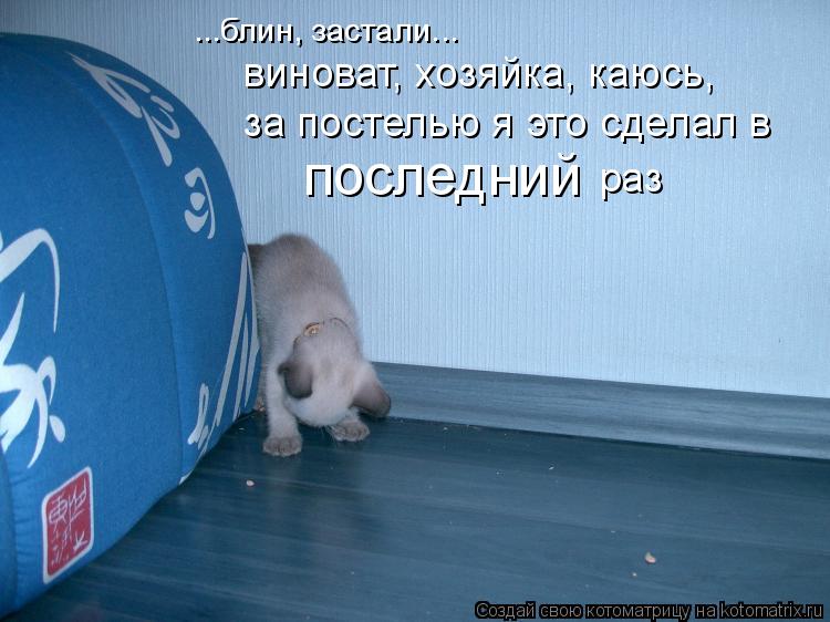 ...блин, застали... виноват, хозяйка, каюсь, за постелью я это сделал в последний раз... Котоматрица: ...блин, застали... виноват, хозяйка, каюсь, за постелью я это сделал в последний раз