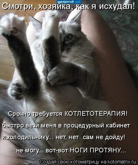 Смотри, хозяйка, как я исхудал! Срочно требуется КОТЛЕТОТЕРАПИЯ! быстро вези меня в процедурный кабин... Котоматрица: Смотри, хозяйка, как я исхудал! Срочно требуется КОТЛЕТОТЕРАПИЯ! быстро вези меня в процедурный кабинет к холодильнику... нет, нет сам не дой