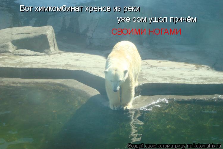 Вот химкомбинат хренов из реки уже сом ушол причём СВОИМИ НОГАМИ... Котоматрица: Вот химкомбинат хренов из реки уже сом ушол причём СВОИМИ НОГАМИ