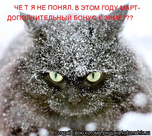 ЧЕ Т Я НЕ ПОНЯЛ, В ЭТОМ ГОДУ МАРТ- ДОПОЛНИТЕЛЬНЫЙ БОНУС К ЗИМЕ???... Котоматрица: ЧЕ Т Я НЕ ПОНЯЛ, В ЭТОМ ГОДУ МАРТ- ДОПОЛНИТЕЛЬНЫЙ БОНУС К ЗИМЕ???