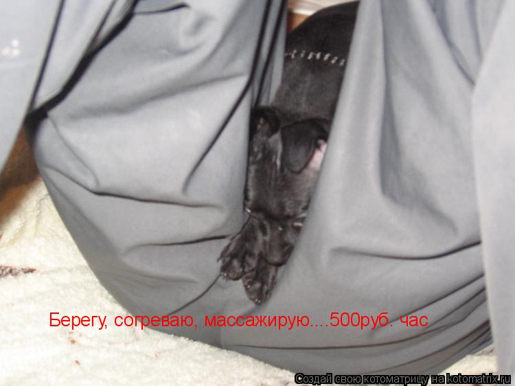 Берегу, согреваю, массажирую....500руб. час... Котоматрица: Берегу, согреваю, массажирую....500руб. час