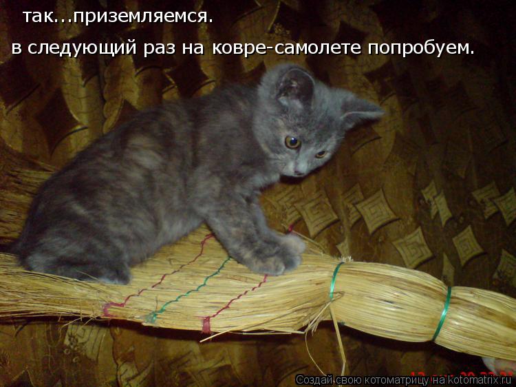 так...приземляемся. в следующий раз на ковре-самолете попробуем.... Котоматрица: так...приземляемся. в следующий раз на ковре-самолете попробуем.