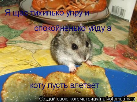Я щас тихинько упру и спокойненько уйду а коту пусть влетает... Котоматрица: Я щас тихинько упру и спокойненько уйду а коту пусть влетает