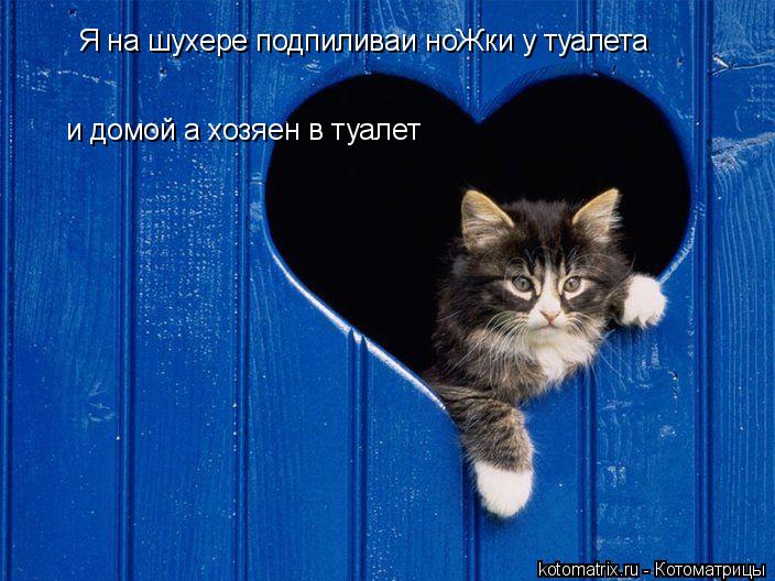 Я на шухере подпиливаи ноЖки у туалета и домой а хозяен в туалет... Котоматрица: Я на шухере подпиливаи ноЖки у туалета и домой а хозяен в туалет