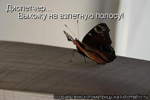 Диспетчер... Диспетчер... Выхожу на взлетную полосу!... Котоматрица: Диспетчер... Диспетчер... Выхожу на взлетную полосу!