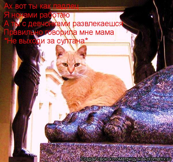 Ах вот ты как падлец Я ночами работаю А ты с девчонками развлекаешся Правильно говорила мне мама *Не ... Котоматрица: Ах вот ты как падлец Я ночами работаю А ты с девчонками развлекаешся Правильно говорила мне мама *Не выходи за султана*