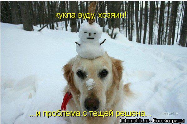 кукла вуду, хозяин! ...и проблема с тещей решена...... Котоматрица: кукла вуду, хозяин! ...и проблема с тещей решена...