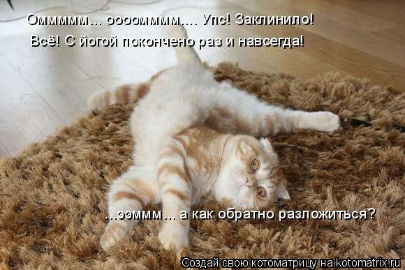 Оммммм... оооомммм.... Упс! Заклинило! Всё! С йогой покончено раз и навсегда! ...ээммм... а как обра... Котоматрица: Оммммм... оооомммм.... Упс! Заклинило! Всё! С йогой покончено раз и навсегда! ...ээммм... а как обратно разложиться?