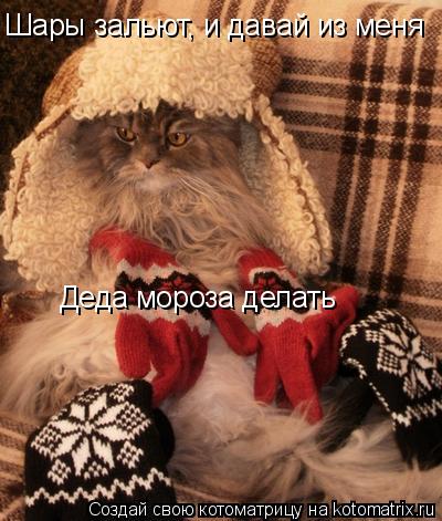 Шары зальют, и давай из меня Деда мороза делать... Котоматрица: Шары зальют, и давай из меня Деда мороза делать