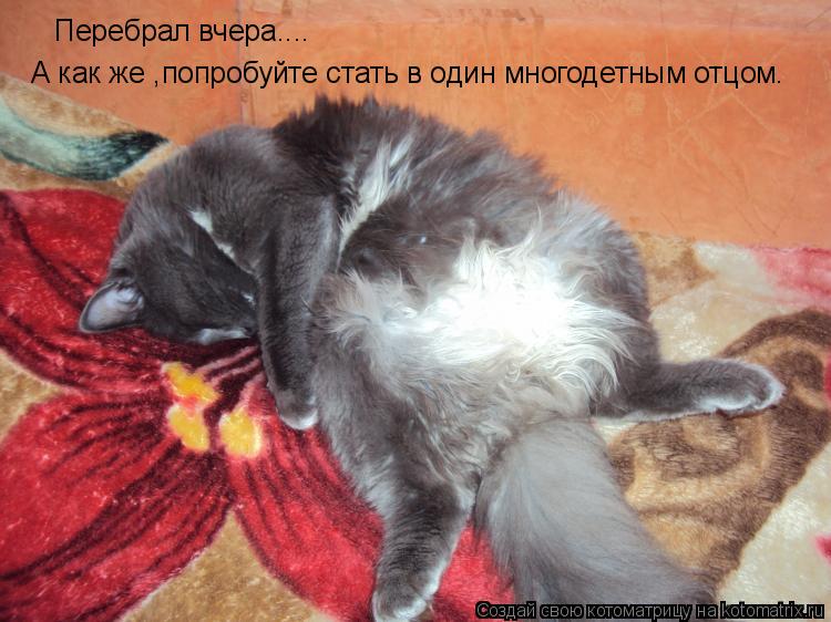 Перебрал вчера.... А как же ,попробуйте стать в один многодетным отцом.... Котоматрица: Перебрал вчера.... А как же ,попробуйте стать в один многодетным отцом.