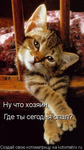 Ну что хозяин, Где ты сегодня спал?... Котоматрица: Ну что хозяин, Где ты сегодня спал?