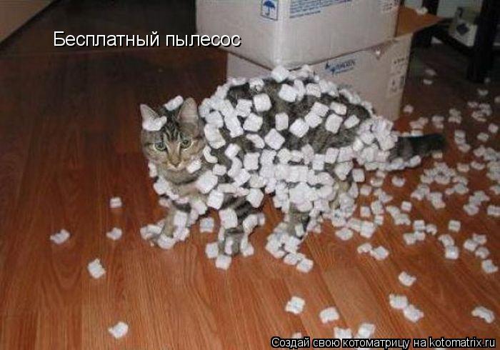 Бесплатный пылесос... Котоматрица: Бесплатный пылесос