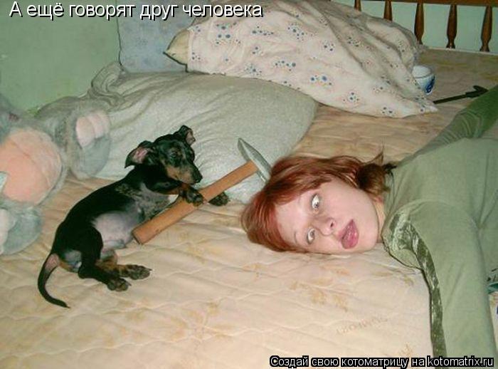 А ещё говорят друг человека... Котоматрица: А ещё говорят друг человека