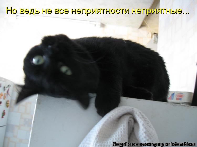 Котоматрица: Но ведь не все неприятности неприятные...