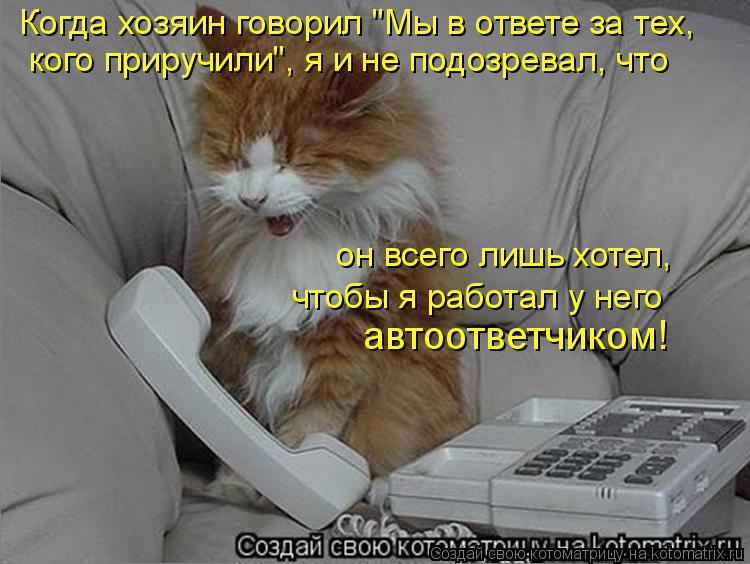 Котоматрица: Когда хозяин говорил "Мы в ответе за тех, кого приручили", я и не подозревал, что  автоответчиком! он всего лишь хотел, чтобы я работал у него