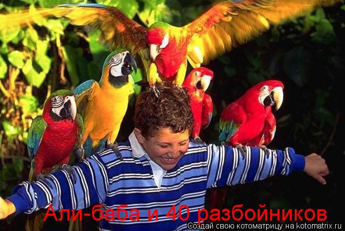 Али-баба и 40 разбойников... Котоматрица: Али-баба и 40 разбойников