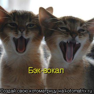 Бэк-вокал... Котоматрица: Бэк-вокал