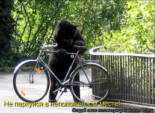 Не паркуйся в неположенном месте!... Котоматрица: Не паркуйся в неположенном месте!