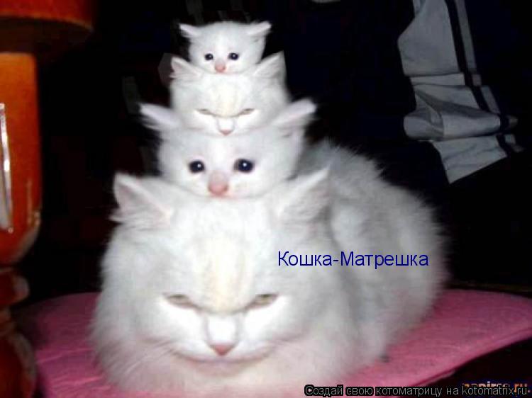 Кошка-Матрешка... Котоматрица: Кошка-Матрешка