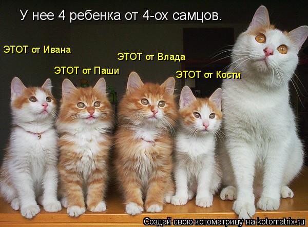 У нее 4 ребенка от 4-ох самцов. ЭТОТ от Ивана ЭТОТ от Паши ЭТОТ от Влада ЭТОТ от Кости... Котоматрица: У нее 4 ребенка от 4-ох самцов. ЭТОТ от Ивана ЭТОТ от Паши ЭТОТ от Влада ЭТОТ от Кости