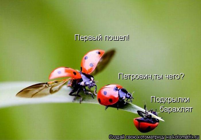 Первый пошел! Петрович,ты чего? барахлят Подкрылки... Котоматрица: Первый пошел! Петрович,ты чего? барахлят Подкрылки