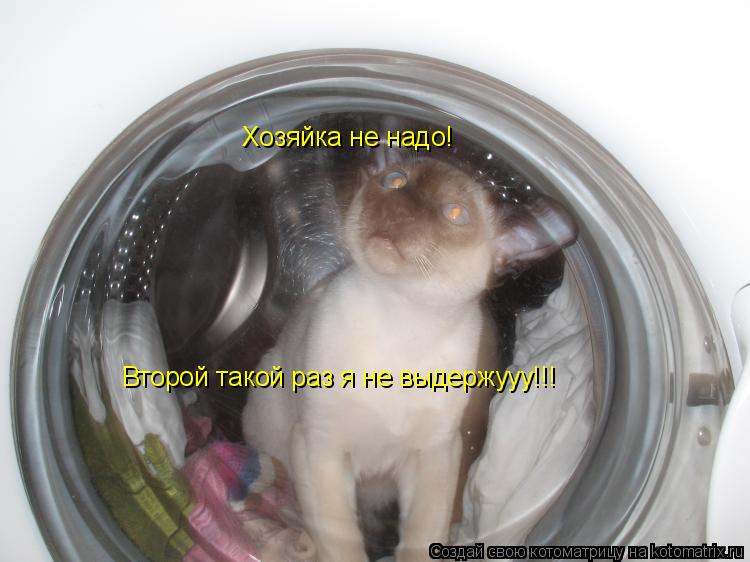 Хозяйка не надо! Второй такой раз я не выдержууу!!!... Котоматрица: Хозяйка не надо! Второй такой раз я не выдержууу!!!