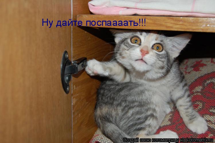 Ну дайте поспаааать!!!... Котоматрица: Ну дайте поспаааать!!!