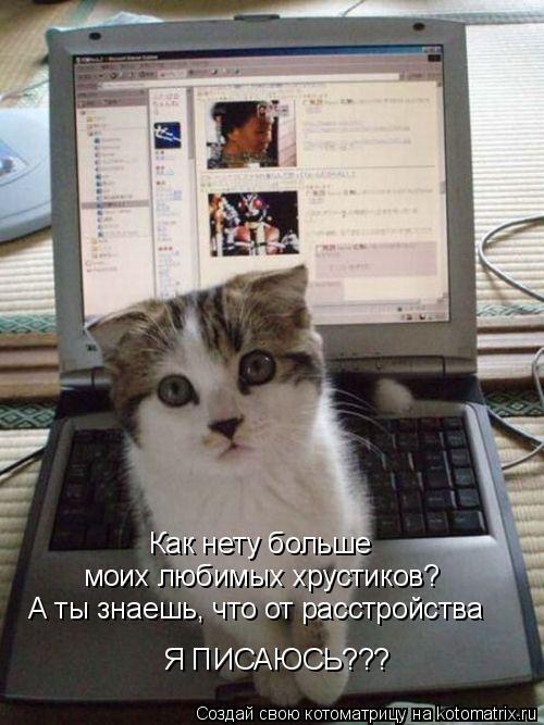 Как нету больше моих любимых хрустиков? А ты знаешь, что от расстройства Я ПИСАЮСЬ???... Котоматрица: Как нету больше моих любимых хрустиков? А ты знаешь, что от расстройства Я ПИСАЮСЬ???