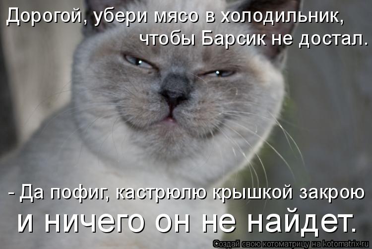 Дорогой, убери мясо в холодильник, чтобы Барсик не достал. - Да пофиг, кастрюлю крышкой закрою и ниче... Котоматрица: Дорогой, убери мясо в холодильник, чтобы Барсик не достал. - Да пофиг, кастрюлю крышкой закрою и ничего он не найдет.