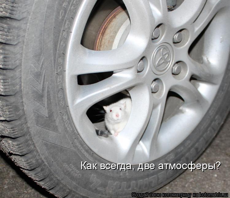 Как всегда, две атмосферы?... Котоматрица: Как всегда, две атмосферы?