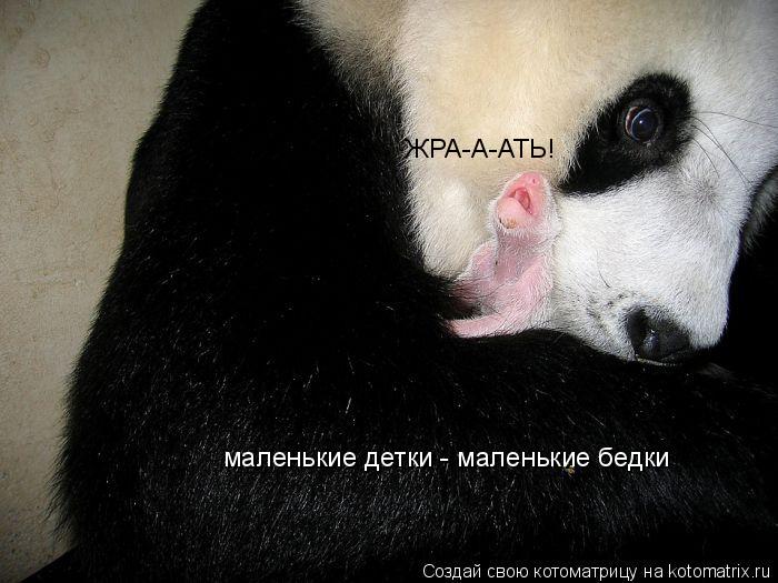ЖРА-А-АТЬ! маленькие детки - маленькие бедки... Котоматрица: ЖРА-А-АТЬ! маленькие детки - маленькие бедки