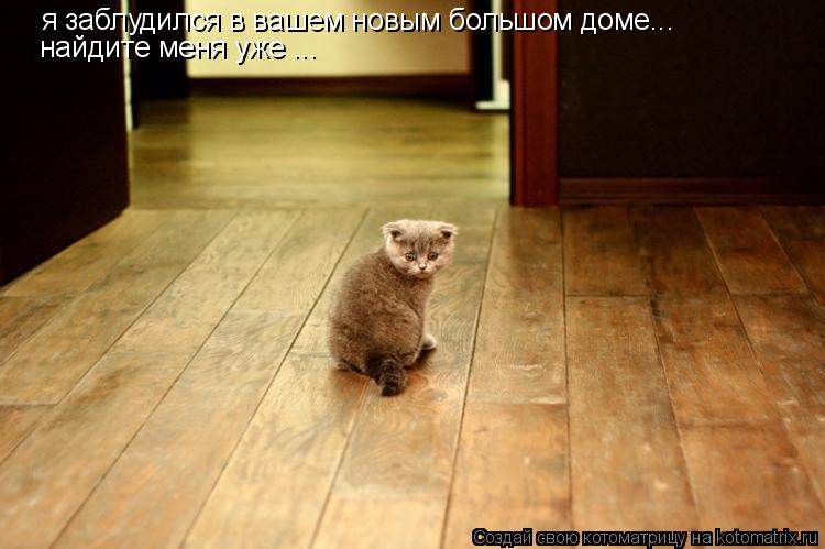 я заблудился в вашем новым большом доме... найдите меня уже ...... Котоматрица: я заблудился в вашем новым большом доме... найдите меня уже ...