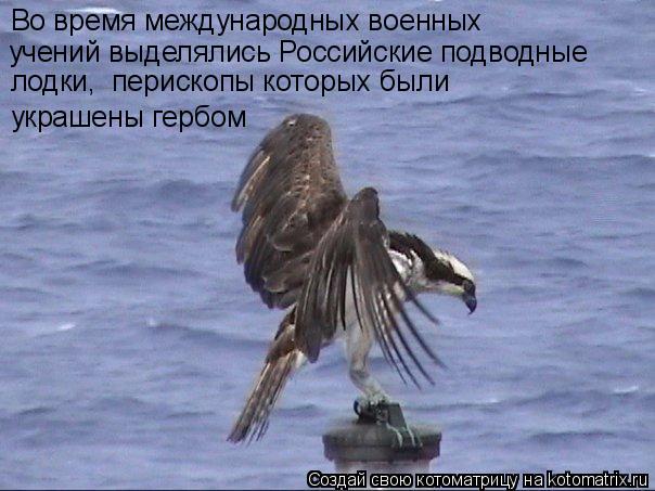 Во время международных военных учений выделялись Российские подводные лодки, перископы которых был... Котоматрица: Во время международных военных учений выделялись Российские подводные лодки, перископы которых были украшены гербом