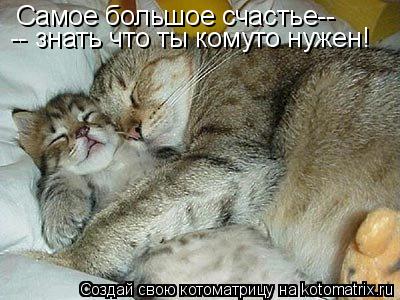 Самое большое счастье-- -- знать что ты комуто нужен!... Котоматрица: Самое большое счастье-- -- знать что ты комуто нужен!