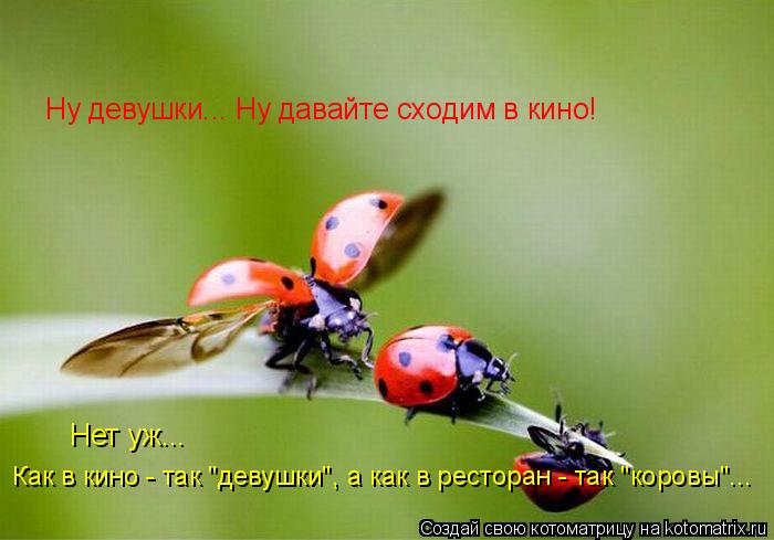 Ну девушки... Ну давайте сходим в кино! Нет уж... Как в кино - так "девушки", а как в ресторан - так... Котоматрица: Ну девушки... Ну давайте сходим в кино! Нет уж... Как в кино - так "девушки", а как в ресторан - так "коровы"...