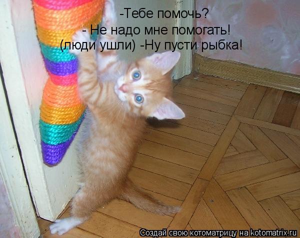 -Тебе помочь? - Не надо мне помогать! (люди ушли) -Ну пусти рыбка!... Котоматрица: -Тебе помочь? - Не надо мне помогать! (люди ушли) -Ну пусти рыбка!