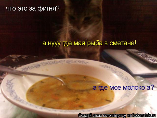 что это за фигня? а нууу где мая рыба в сметане! а где моё молоко а?... Котоматрица: что это за фигня? а нууу где мая рыба в сметане! а где моё молоко а?