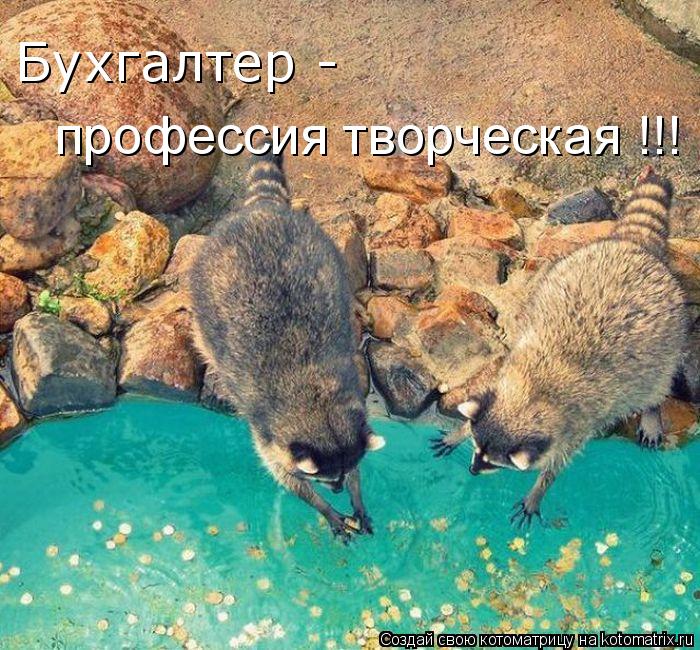 Бухгалтер - профессия творческая !!!... Котоматрица: Бухгалтер - профессия творческая !!!