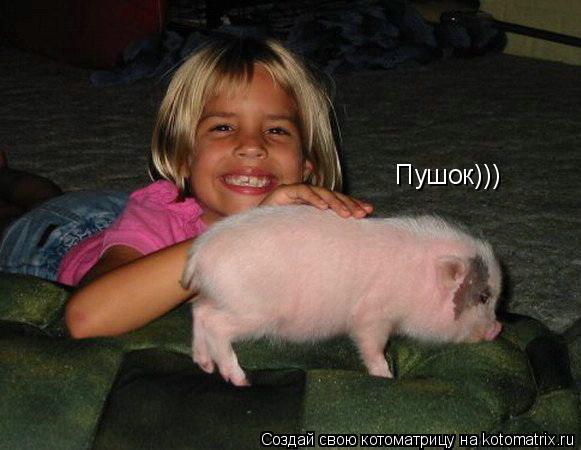Пушок)))... Котоматрица: Пушок)))