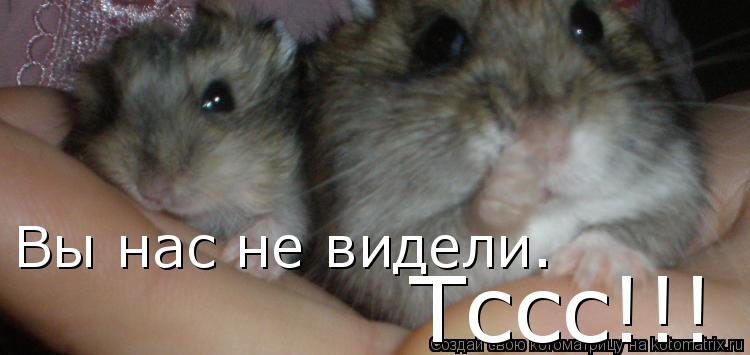 Тссс!!! Вы нас не видели.... Котоматрица: Тссс!!! Вы нас не видели.